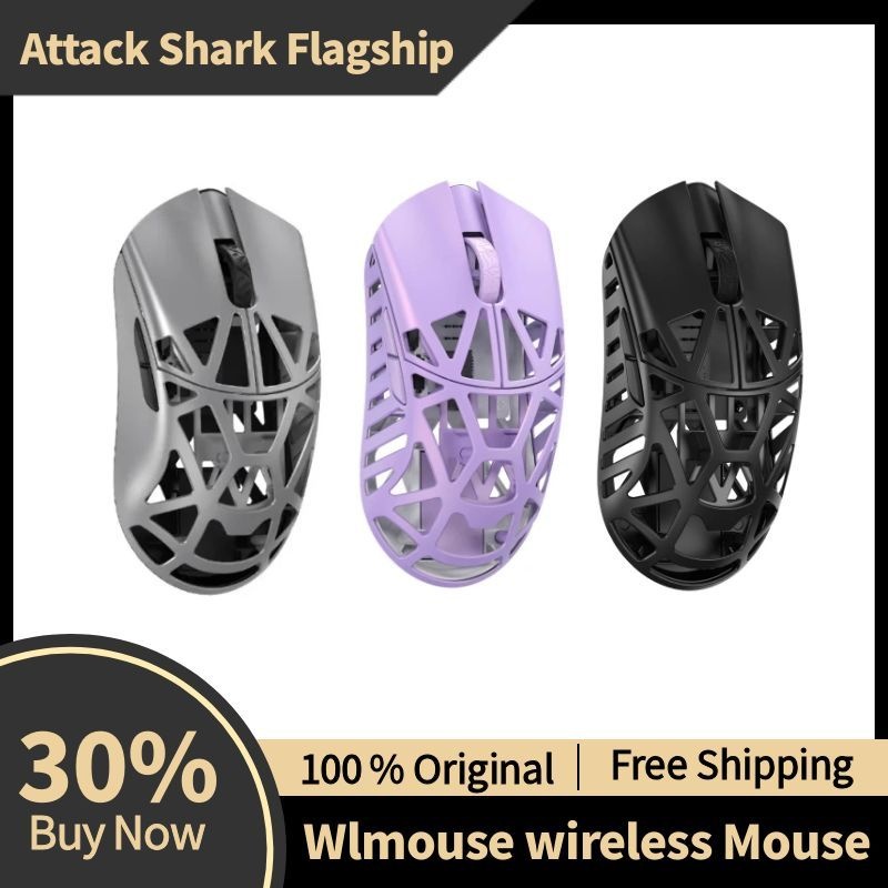 Wlmouse Beast X Mini Pro Magne - Gaming Accessories Online recensie en prijs